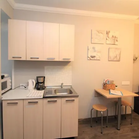 Compact Studio In The Heart Of The City Centre アパート リガ